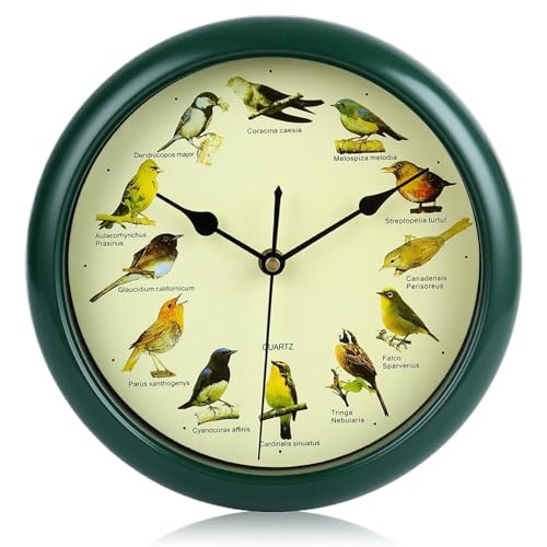 Reloj de Aves 10"