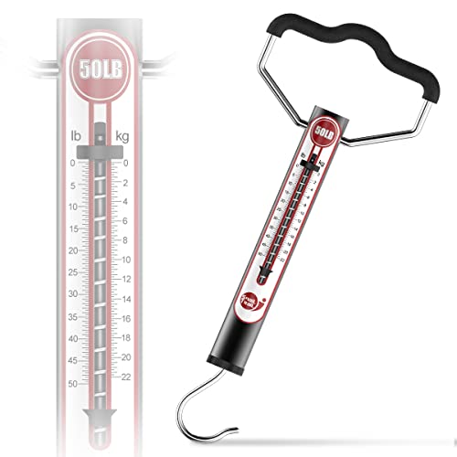 What Is a Spring Scale & What Is It Used for?
