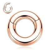 FUNLMO Piercing de acero quirúrgico 316L con bisagras, para tabique, tragus, hélice, caracola, rook, daith, piercing de aro trenzado para cartílago, Metal, No es una piedra preciosa