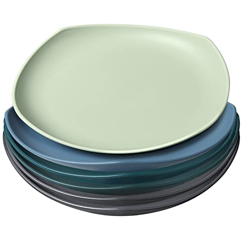 Greentainer Groß Teller 6er 22.3cm Speiseteller für BBQ,RV, Party, Picknick, Camping,Unzerbrechliches Plate aus PP für Kinder & Erwachsene|Leichtes Plastikteller| Mikrowellen & Spülmaschinenfest Cover