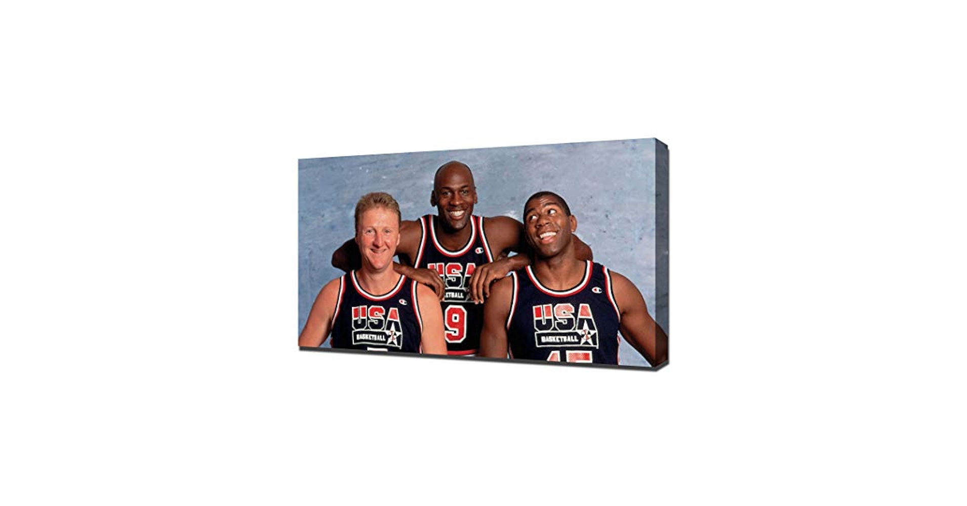 ’89年製·NBA HOOPS“マジック・ジョンソン&ラリー・バード”額縁入り ラリー・バード＆マジック・ジョンソンのルーキーカードが最高