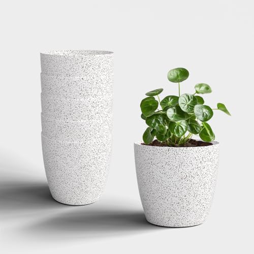 Image of YUCCABE ITALIA SHERA Stella 5 Inch Plastic Plant Pot for Home Decor Indoor Plant Pots for Living Room Plastic Flower Pot for Garden (Ivory, 5 INCH - 6 Pcs)