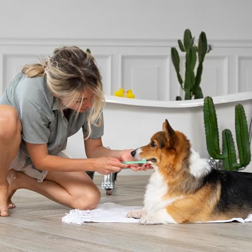 Image of 9 Pack Small Dog Toothbrush Cat Toothbrush Pet Toothbrush Mini Head Soft Dog Cat Tooth Brush for Sensitive Gum Puppy, Kitten, Cats & Small Breed Dogs, Portable Travel Friendly and Easy to Use