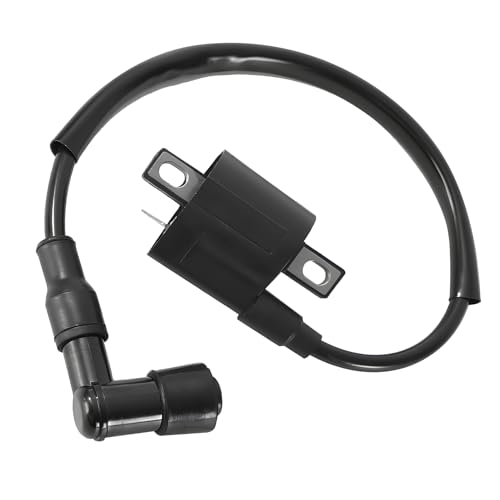 Bobine D'allumage Haute Performance pour Moto, Scooter, Cyclomoteur, ATV 125CC 150CC 200CC 250CC, Bobine Allumage Universelle, Remplacement Fiable, Allumage...