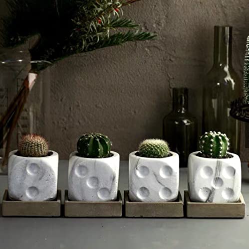 Concrete Silicone Flower Pots Molds,Dice Silicone Planter Molds Succulent Plant Flowerpot Molds Cement Clay Resin Moulds Handmade Home Graden Decor #TOP4