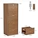 Tribesigns 4-Drawer File Cabinet with Lock, Locked File Cabinet with Key, Tall Wooden Filing Cabinets for Home Office, Vertical Office Storage for Legal Size/Letter/A4/Files, Brown