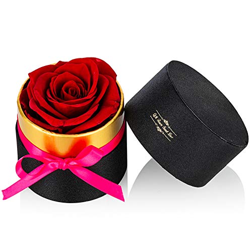 NUPTIO Red Preserved Roses in Mini Sized Flower Box Handmade Real Flowers Eternal Petals, Romantic Gifts for Girlfriend, Mother\'s Day Wedding Birthday Christmas Anniversary