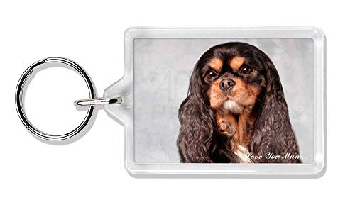 Preisvergleich Produktbild Advanta - Keyrings King Charles 'Love You Mum' Foto Schlüsselbund TierstrumpffüllerGeschenk