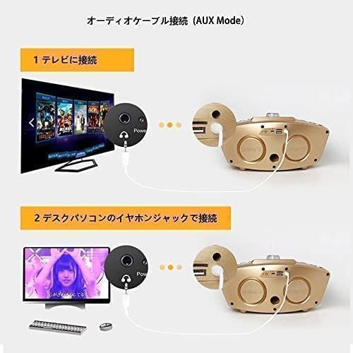 M2252-105-77カラオケマシン ワイヤレス ゴールド M2252-105-77