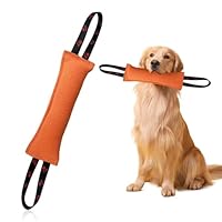 HUANR Beisswurst für Hunde, 30 cm Hunde Zerrspielzeug, mit 2 Ringen, Orange Beißkissen Hund, Beißwurst Hund, für Interaktive Spiele mit Hunden