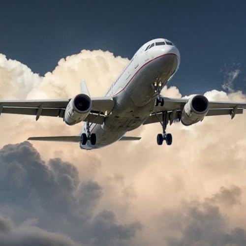 Second plane load of Aussies clears Middle Eastern airspace to return home