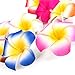 Luau Party Essentials - Leis (36 Count) with Flower Hair Clips (16 Pieces), Perfect for Hawaiian-Themed Celebrations