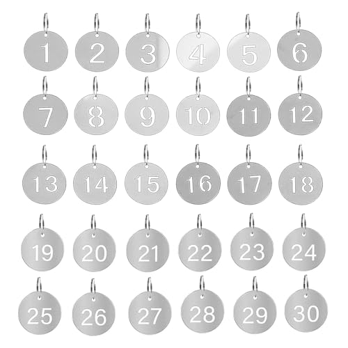 1-30 EhXeXX`[L[^O ϋv^io[^O O&xt ̐AbJ[Aוp(0.9C`̉~`)