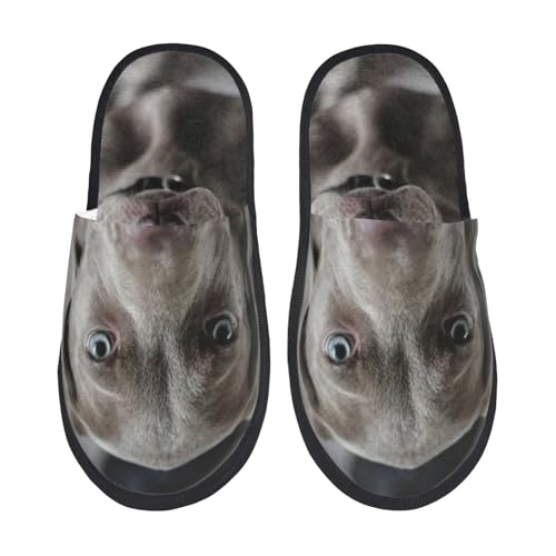 [ZOOKISS] 킢 C}i[  Xbp  Y  fB[X ~ 킢 qp 􂦂 gC p E Xbpjp LN^[ ObY lC Aj v[g M