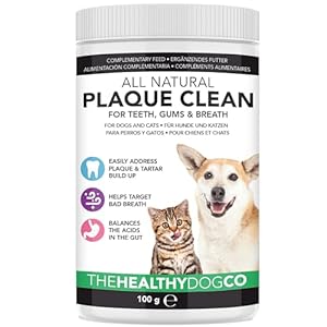 The Healthy Dog Co. – Natürliche Zahnpflege Hund – Reduziert Hund Zahnstein Zahnpflege – Effektive Zahnreinigung Hund – Katzen Zahnpflege für Mundgeruch Hunde – Zahnpflege für Haustiere- 100g