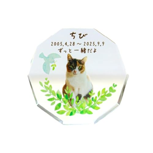 ybg ʔv A ʐ^ I[_[  bZ[W IׂfUC 킢 g ~j RpNgTCY tJ[vg NX^ zCgKX  L  { ~jʔv ([t)