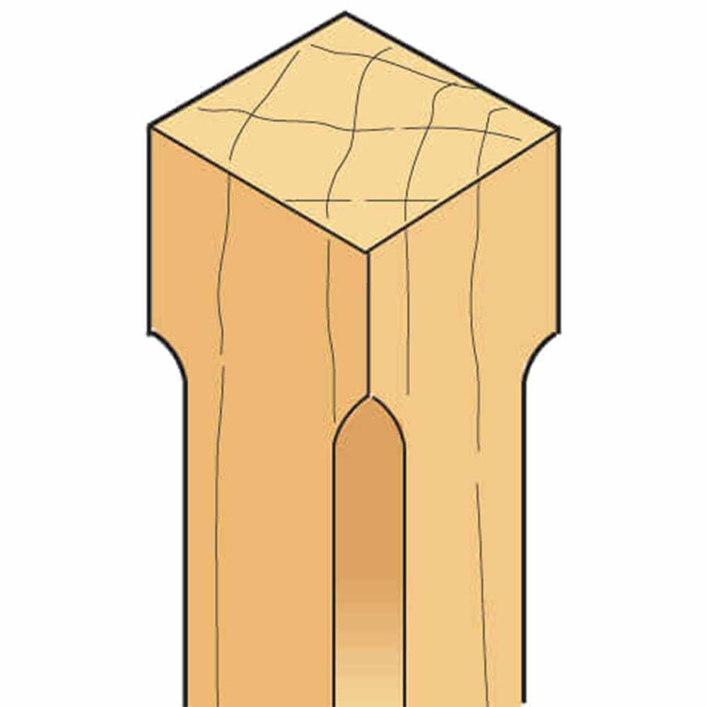 Trend Fresa per smusso 45° guidata da cuscinetto, gambo 1/2, TCT | Per biselli 45° puliti nel legno, guida con cuscinetto, Ø50 mm, lunghezza 19 mm, 46/38X1/2TC