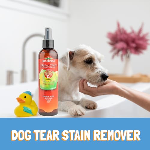 Image of Bio-Groom Tuscan Olive Dog Shampoo - Natural Scent Pet Shampoo, Baobab Protein, Cat & Dog Bathing Supplies, Puppy Wash, Cruelty-Free, Made in USA, Quick Rinse Cat Shampoo - 8 fl oz 1-Pack | Pet Shampoo, Baobab Protein, Cat & Dog Bathing Supplies, Puppy Wash, Cruelty-Free, Made in USA, Quick Rinse