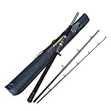 Top 12 Best Travel Fishing Rod 2024 Review 42 Portable Saltwater Offshore Heavy 3-Piece Travel Graphite Baitcasting Fishing Poles Casting Boat Jigging Trolling Conventional Rods with Rod Case Bag (6'/7'/8')