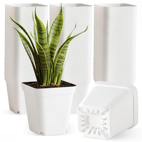 80 Pcs Nursery Pots 4 Inch, Plastic Seed Starting Pot with Drainage Holes, Small Sturdy Seedling pots for Planting, Succulents, Transplanting, Cuttings (White)