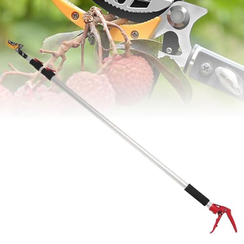 c[bp[O[`LkAc[v[i[A]u[hwbhtt[csbJ[A|[\[bp[AyʃA~jEgnhtc[u`Jb^[5Mp