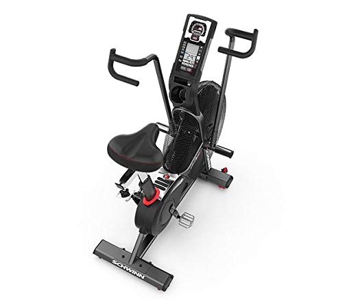 Bike De Resistência Ar Schwinn Airdyne