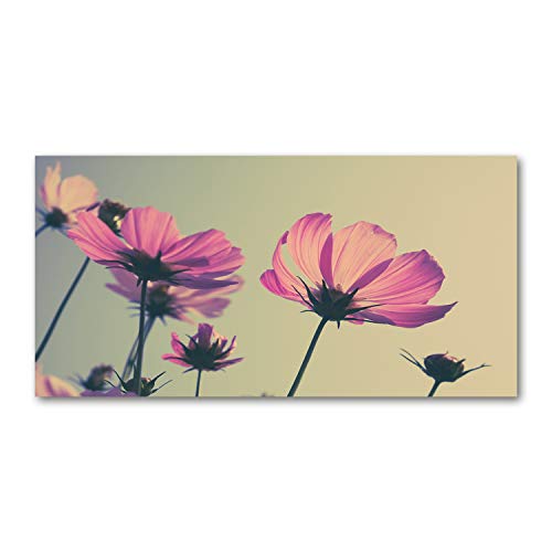 Crédence de cuisine 100x50cm en verre pour illuminer votre pièce