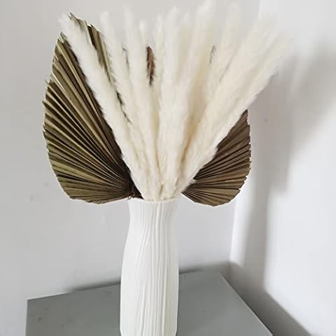 15pcs Dried Pampas Grass Plumes Decor,3 Pcs Natural Dried Palm Leaves -Dried Palm Spears for Bohemian Style DIY,16" Trimmed Dried Palm Fans Palmetto Leaf, for Wedding Home Kitchen Home Decorations Cover