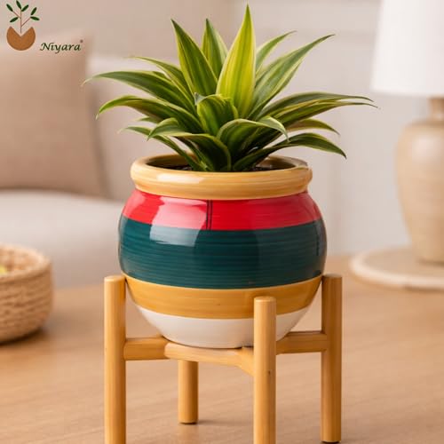 Image of Niyara Ceramic planters pots for Indoor Outdoor Home, Garden Office Decor Balcony Planters Gamla Flower Size Small 6 inches (Wild Flower)