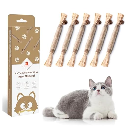 Potaroma 6 Pcs Natural Silvervine Sticks Cat Toys, Catmint Silvervine Blend Sticks, Kittens Chew Toys for Teeth Cleaning, Matatabi Dental Care Cat Treat, Edible Kitty Lick Toys