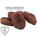 Gerbs Dried Apricots 2 lbs. | Unsulfured, No Artificial Additives, Resealable Bag | Naturally Sweet & Chewy | Top 14 Allergen-Free