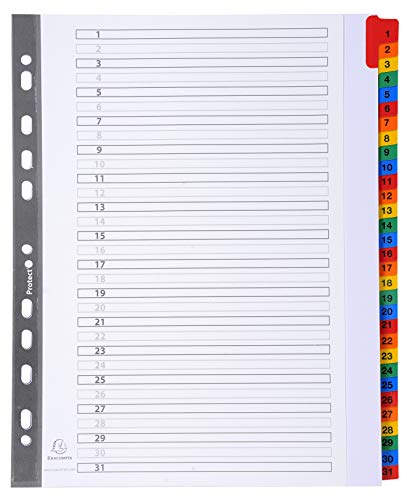 Exacompta 4131E Divisori e Segnaletica, 29.70 x