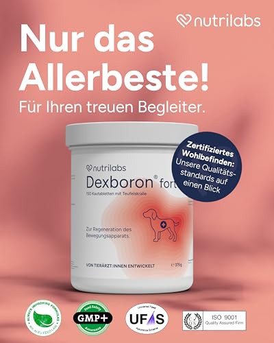 NutriLabs Dexboron forte Hunde Kautabletten 150 STK. - Tabletten mit Teufelskralle - Regenerationsmittel mit Weidenrinde, Weihrauchextrakt u.v.m.