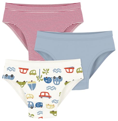 Lot de Slips Enfant en Coton imprimé Voitures