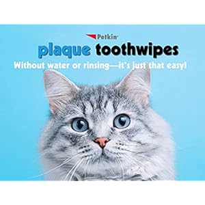 Petkin Cat and Dog Dental Wipes, 80 Wipes (Fresh Mint) - Natural Formula Cleans Teeth, Gums & Freshens Breath - for Daily Use - Convenient Dog Dental Care - 2 Packs of 40 Wipes (80 Wipes Total) Petkin Cat and Dog Dental Wipes 80 Wipes Fresh Mint Natural Formula Cleans Teeth Gums Freshens Breath for Daily Use Convenient Dog Dental Care 2 Packs of 40 Wipes 80 Wipes Total