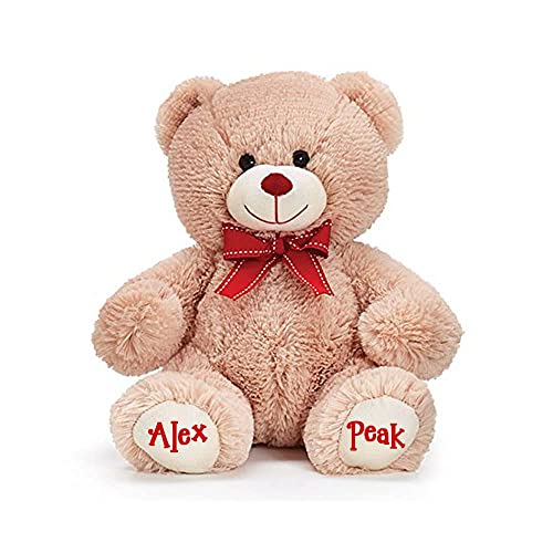 burton+BURTON Personalized Valentine’s Day Teddy Bear – Soft Plush Stuffed Animal with Custom Name, Sweet Gift for Kids & Loved Ones