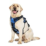 AUROTH Escape Proof No Pull Dog Harness with Lift Handle, Soft Padded Reflective Adjustable Vest, Large for Walking Hiking Training