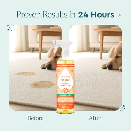 Puracy Natural Pet Stain & Odor Remover, Professional Strength, Enzyme-Powered for Dog & Cat Accidents, 25 Ounce