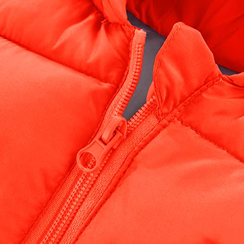 Winter Coats for Toddler Kids Boys Girls Padded Light Puffer Jacket Outerwear Infant Down Jacket with Hoods3