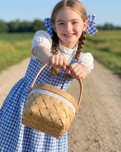 Disfraz de libro para niñas con accesorios de Dorothy miniatura 6