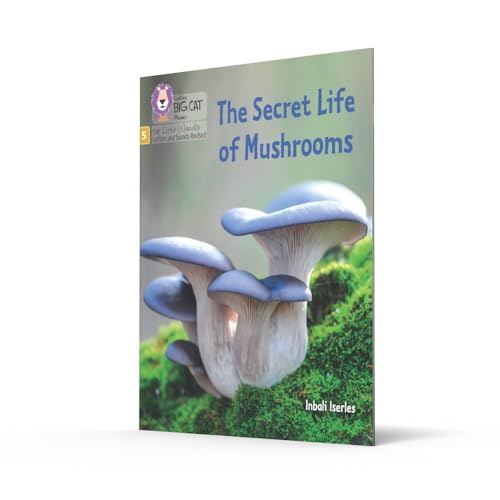 The Secret Life of Mushrooms: Phase 5 Set 4 Stretch and challenge (Big Cat Phonics for Little Wandle Letter) - Image 2