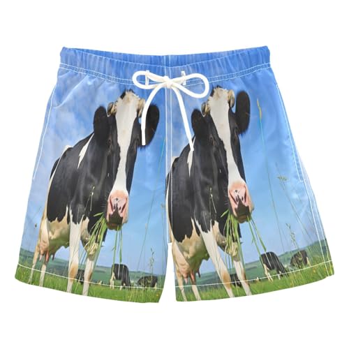 Swim Shorts for Boys, Anti-Chafe Swim Trunks Boys 2 T, Black White Cow Eating Grass Meadow Blue