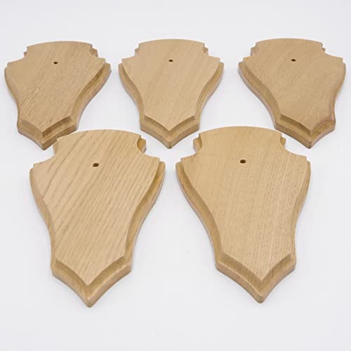 REH - Cartello per trofei a punta, in legno di quercia chiaro, formato AF, 19 x 11 cm, con 1 scomparto in pino
