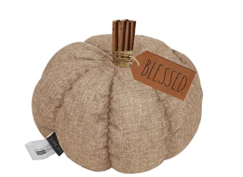 Rae Dunn Plush Pumpkin Decor - Stuffed Fabric with Wood Stem and Sand Filler Decoration with Cute Saying 'Blessed' 7.5 x 9 Inchs - Autumn Decor Gifts, Thanksgiving and Fall Decorations for Home