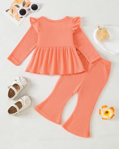 Image of Weebaby Toddler Girl Clothes Infant Girl Sweatsuit Baby Pant Set Outfits Fall Winter Clothing Little Clothes for Girl