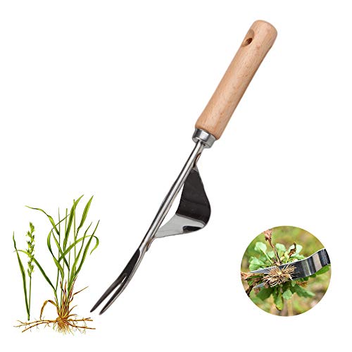 Classic Dandelion Weeder, Garden Hand Weeder Premium Gardening Tool, Garden Weeding Removal Cutter Tools, Heavy Duty Stainless Steel, Smooth Natural Ash Wood Handle and Leather Strap Hump Model