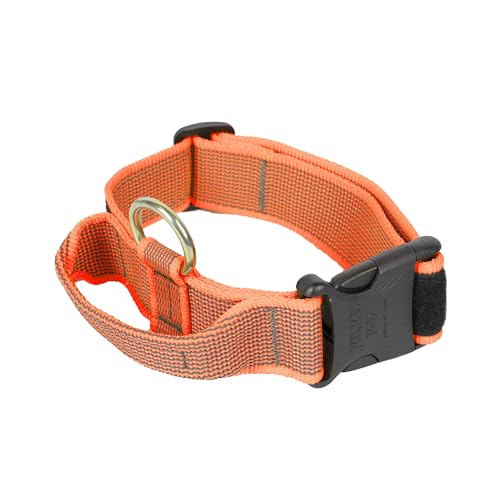 Julius-K9 Collare K9 con Manico richiudibile, Chiusura di Sicurezza ed Adesivi intercambiabili, Neon, Arancio-Grigio, 40 mm (38-53 cm)