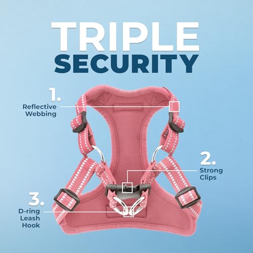 Image of Best Pet Supplies Voyager Adjustable Step-In Flex Breathable Mesh Dog Harness for Small Medium Large Dogs (Pink), M