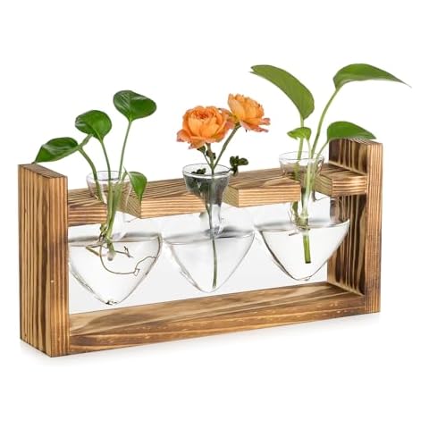 Vase en Verre Hewory Cover