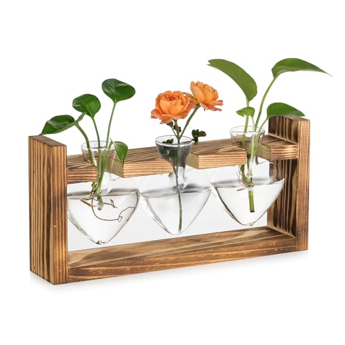 Hewory Terrarium Plante Hydroponie en Forme de Cœur - Vase en Verre avec Vintage Support en Bois -...